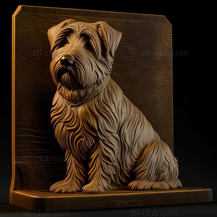 st Glen of Imaal Terrier dog